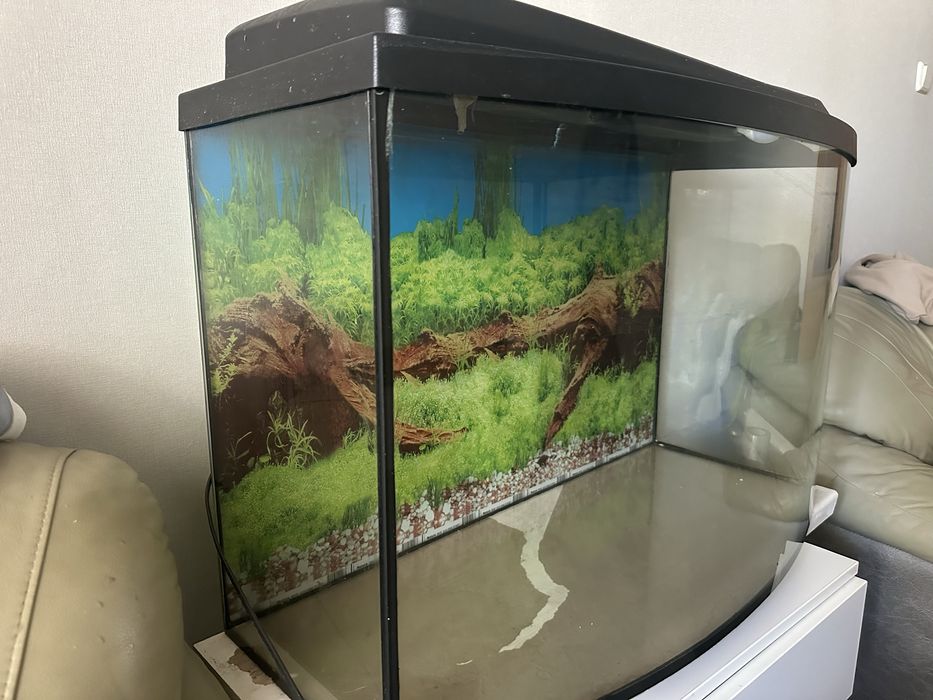 Акваріум на 140 літрів