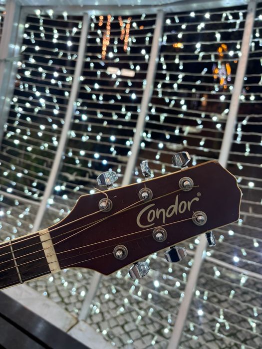 Viola eletrica condor