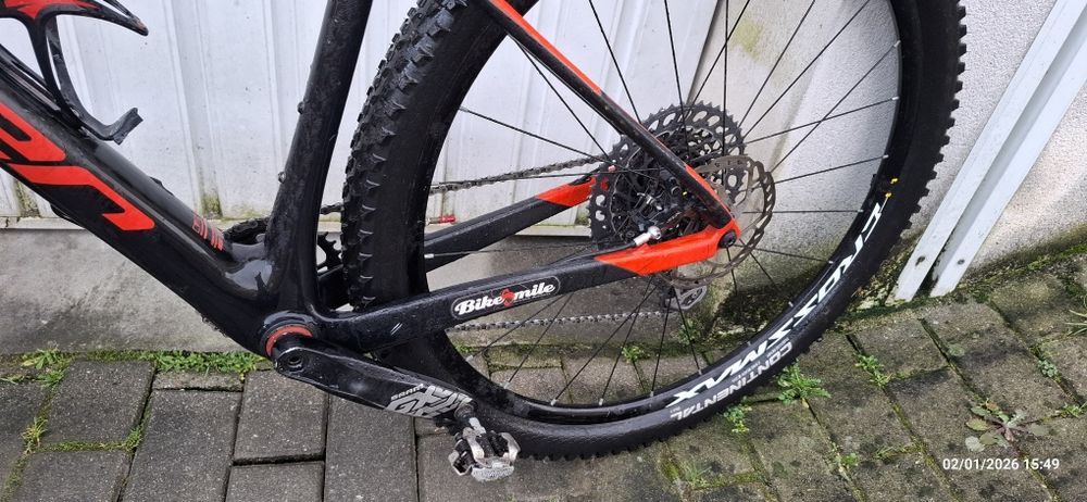 Coluer revers  carbon 29