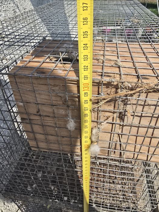 Gaiola para passaros