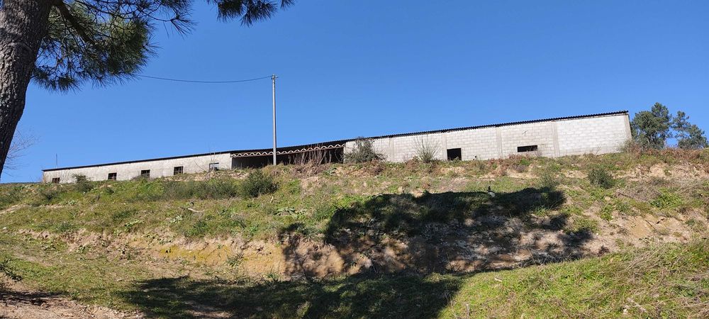 Quinta agrícola para investimento - Baião