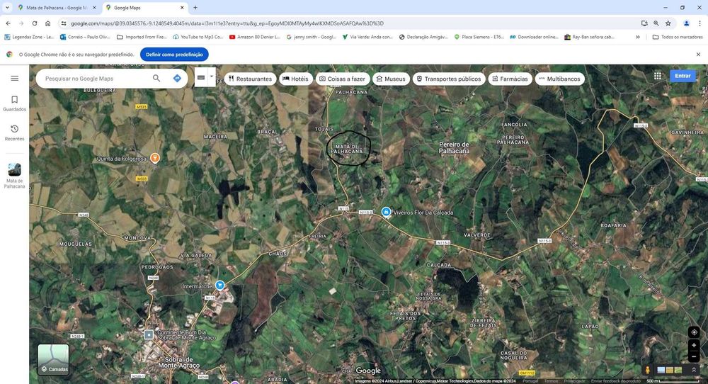 Adega em Sobral de Montagrasso