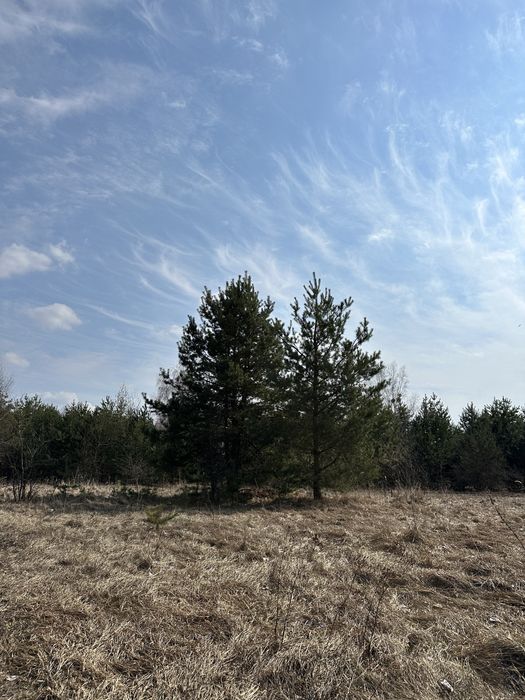 Дмитрівка  куба )ділянка 10 соток