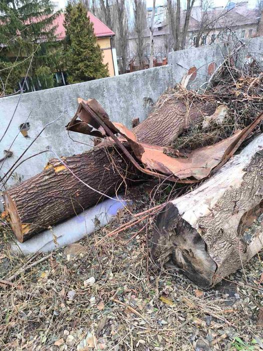 Деревина для обробки, дрова