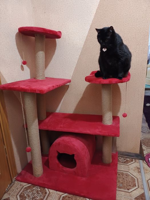 Когтеточка. Кошачий дом. Комплекс для котов.