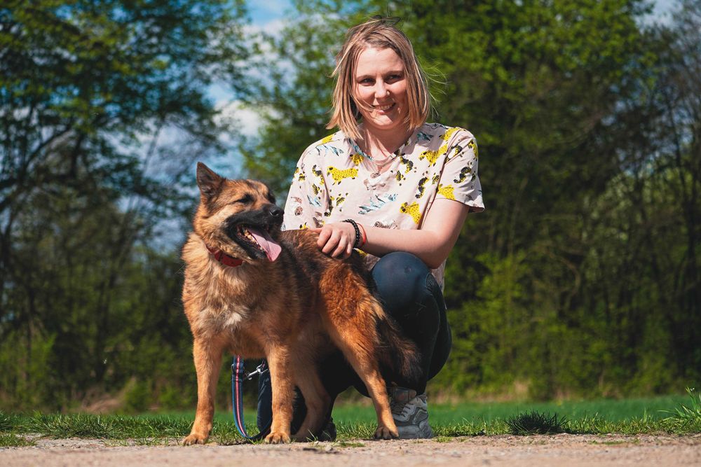 Dan - mega rewelacyjny pies