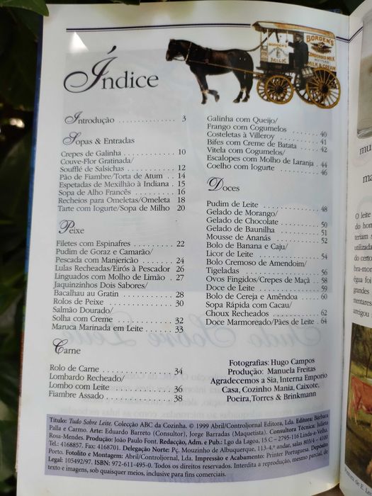 ABC da Cozinha - Tudo sobre Leite