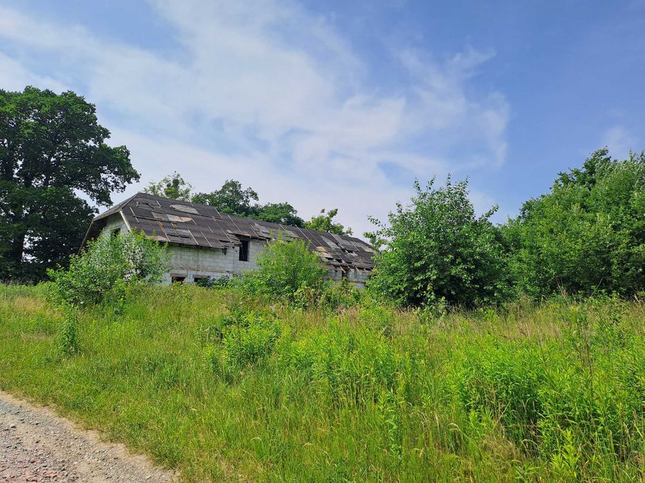 Dom – Elbląg, Ogrody - Widok 3