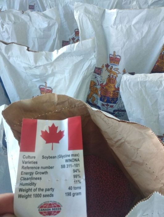Канадська соя Вінона на посів! 1-а Реп. НЕ РОЗТРІСКУЄ Урожайність 4,5т
