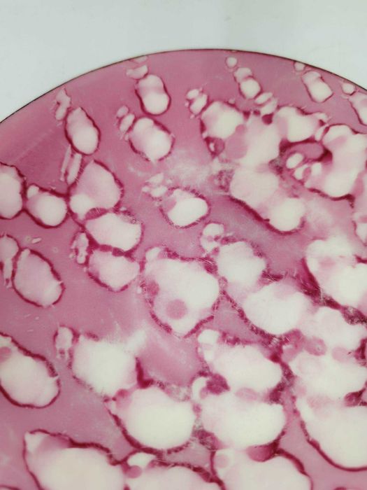 Serwis kawowy Iza Chodzież różowy proj. J. Wrzesień 1959r