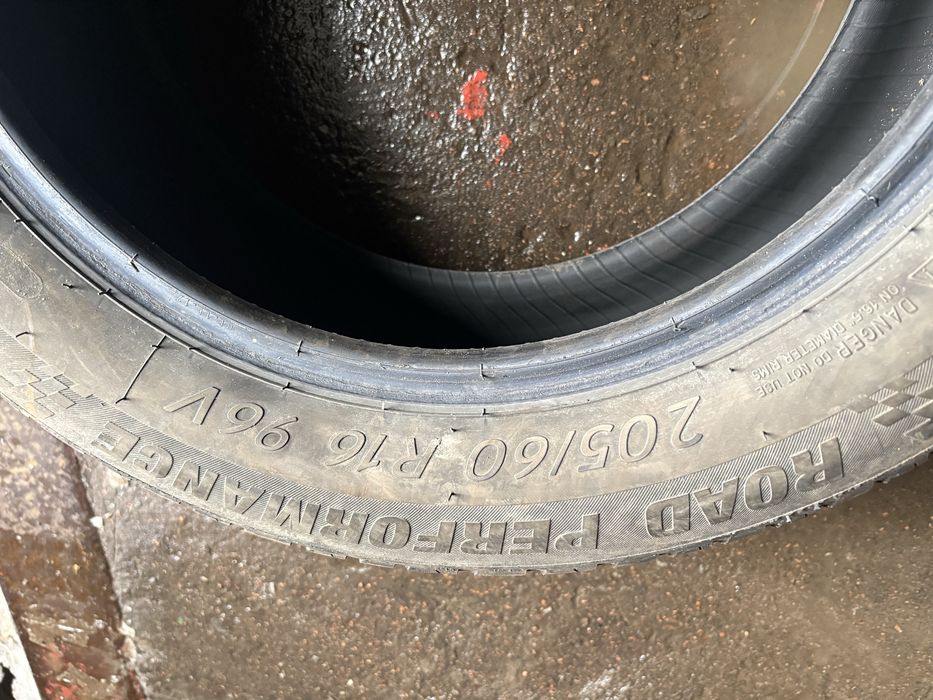 Kormoran Performance 2024р.