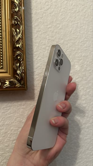 iphone  12 pro