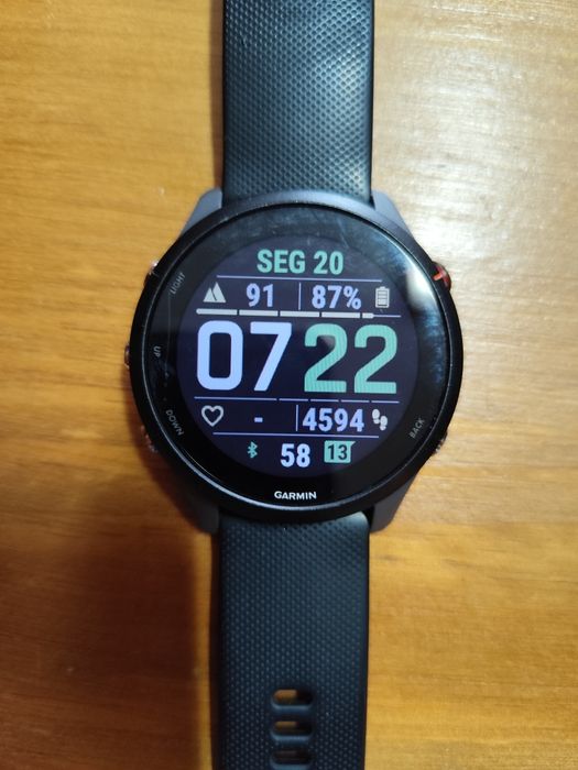 Garmin Forerunner 255 Garantia Aceito Retomas450091936111011842