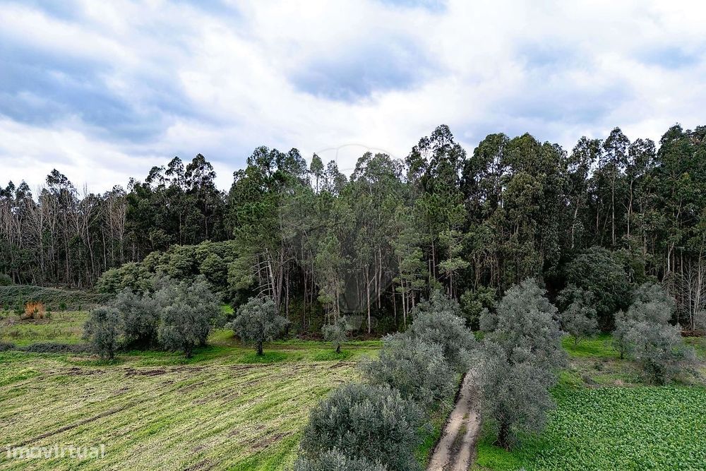 Terreno  para venda