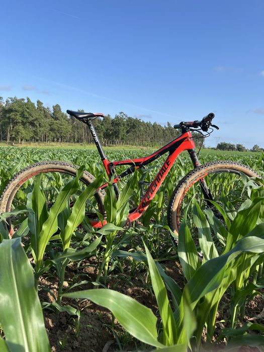 cannondale scalpel si carb 3