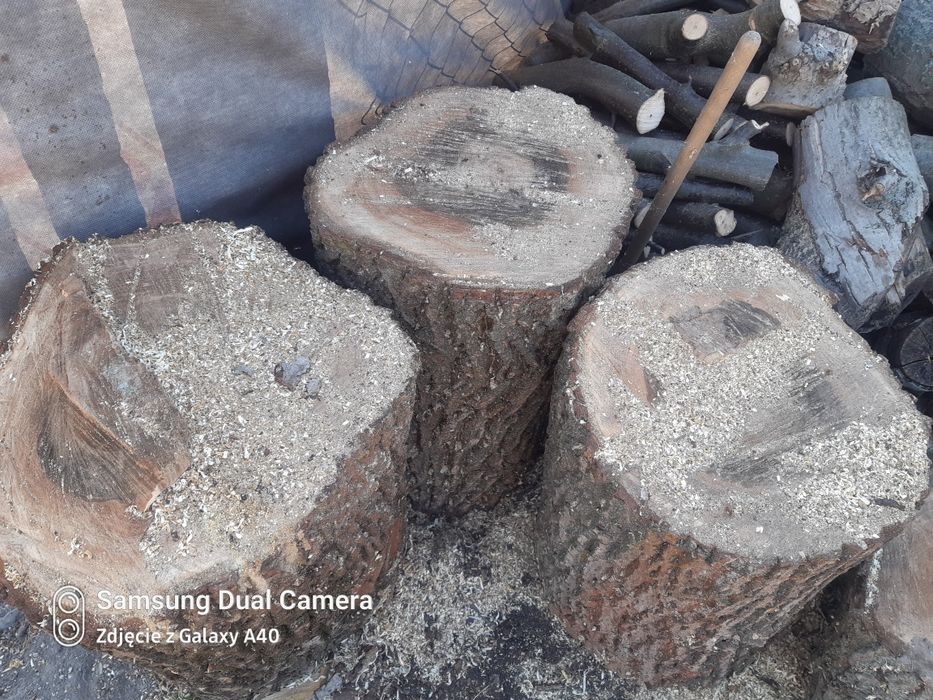 Sprzedam  pień orzecha