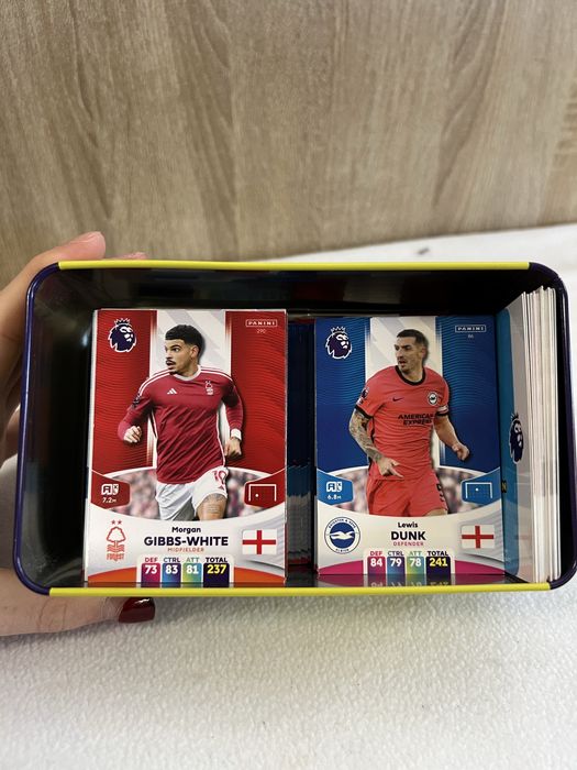 Karty piłkarskie Premier League