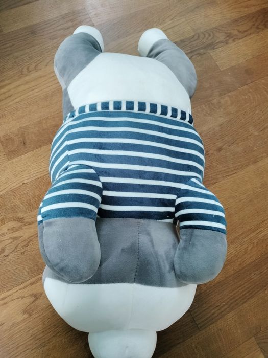 Piesek Husky maskotka + kocyk  poduszka