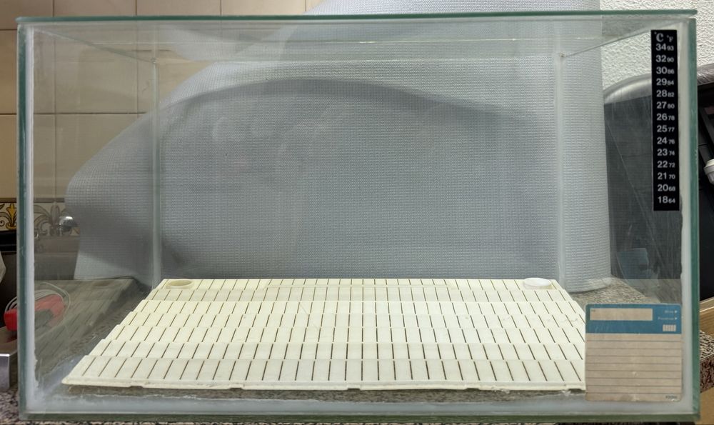 Aquário 42L (50x30x28) – 100% Selado e Testado + Filtro de Fundo