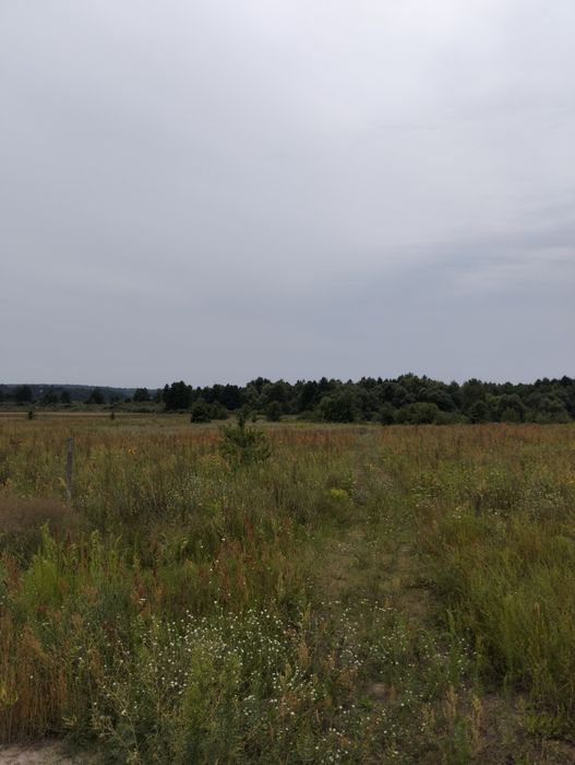 Продається земельна ділянка Новосілки - Pamja 3