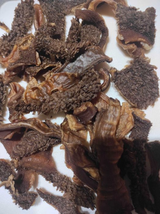 Смаколики для котиків і песиків