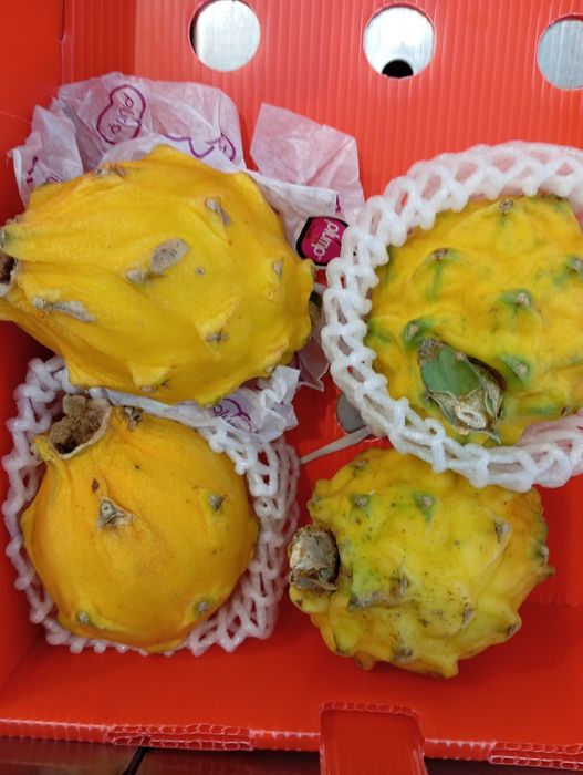 Pitaias, ou Fruta do dragão