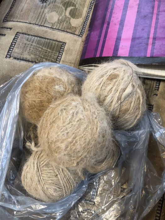 Шерсть собачья алабай  со. своего сао