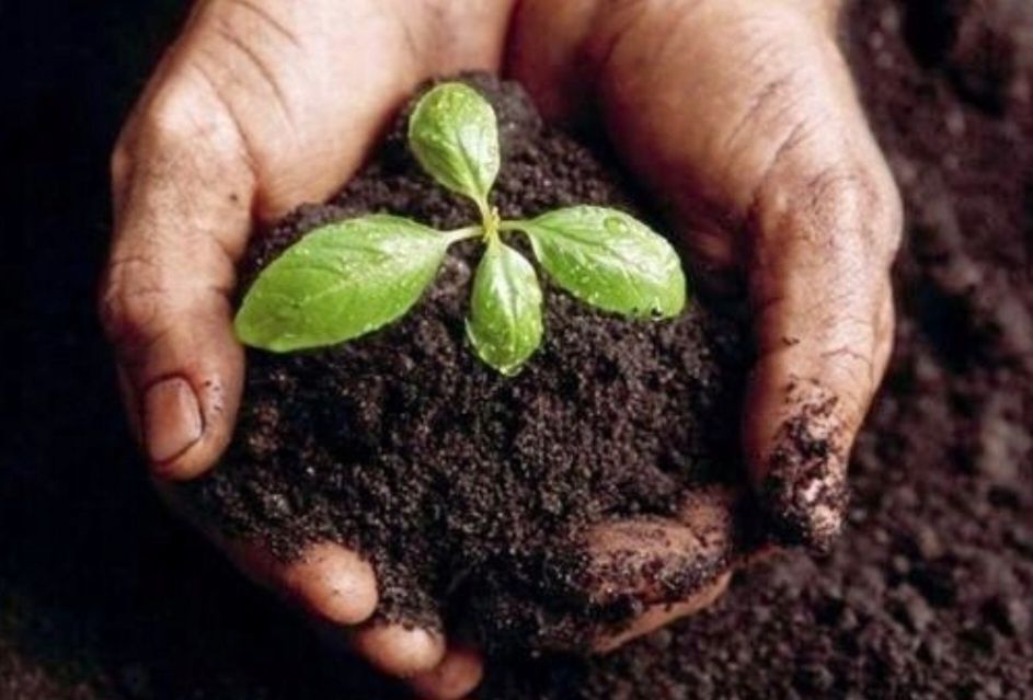 PROMOCJA!!! Humus/ czarnoziem/ ziemia siana