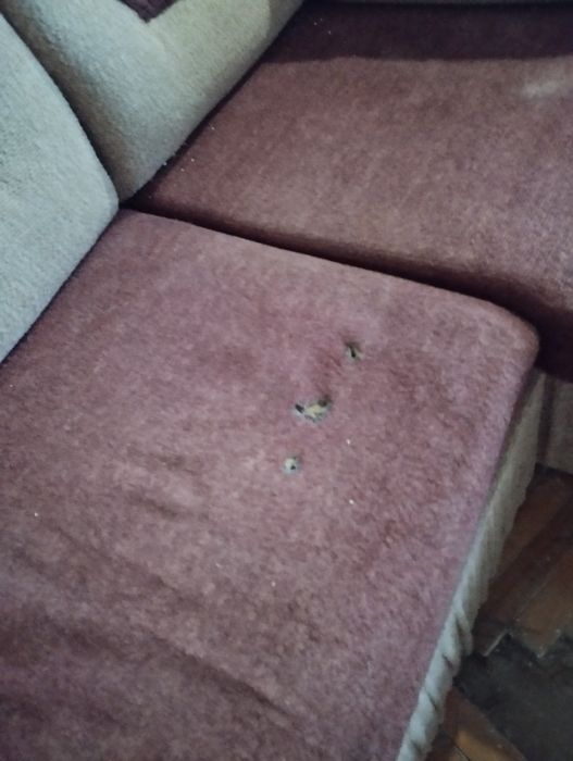 Диван кутовий у вітальню