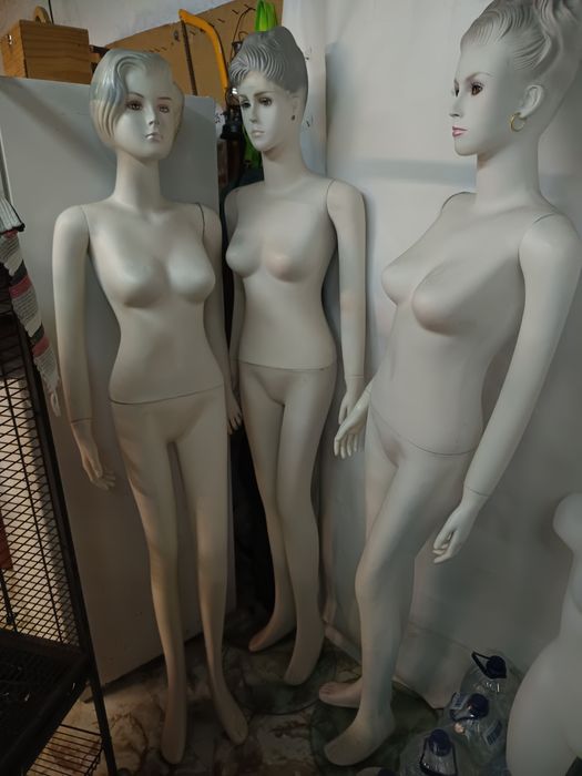 Manequim feminino completos