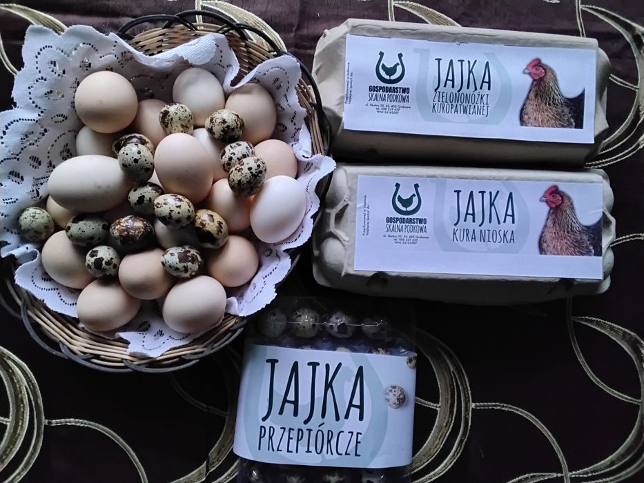2 opakowania Jajka Przepiórcze - Gospodarstwo Skalna Podkowa