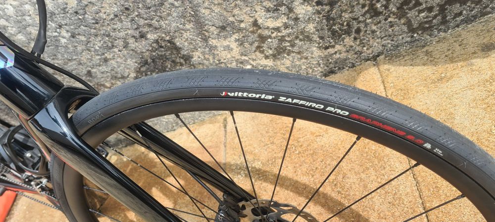 Coluer invicta disc
