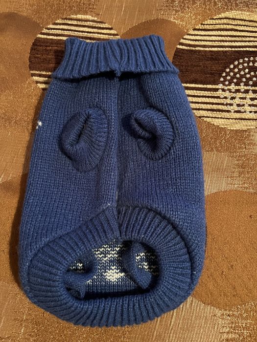 Одяг для собак