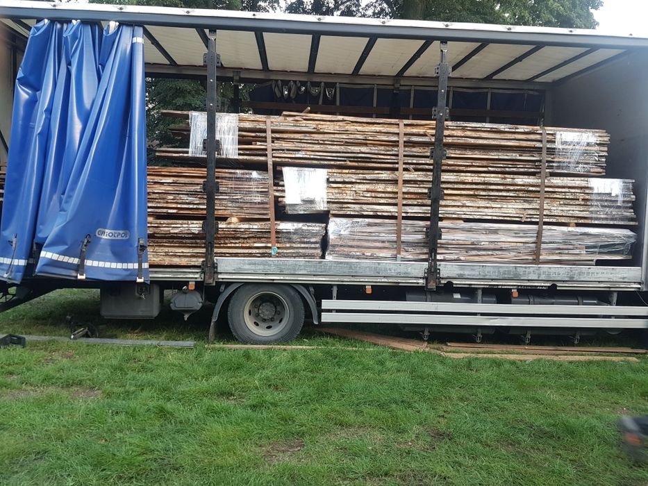 Dąb, orzech włoski, jesion, olcha, brzoza, akacja, lipa, sosna, akacja