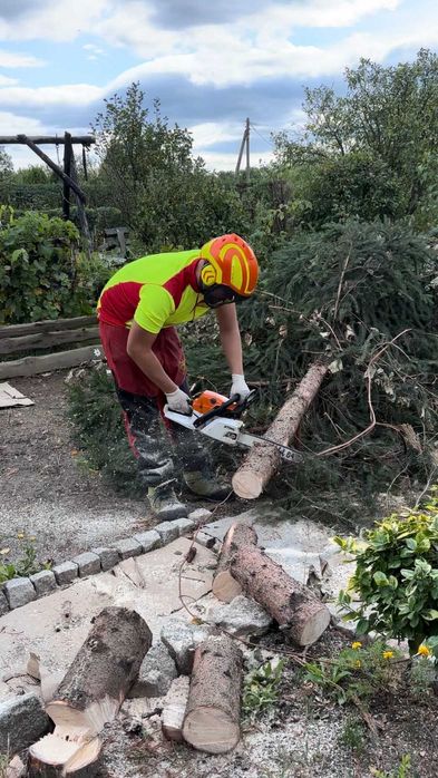 Wycinanie przycinanie pielęgnacja drzew i krzewów ARBORYSTA