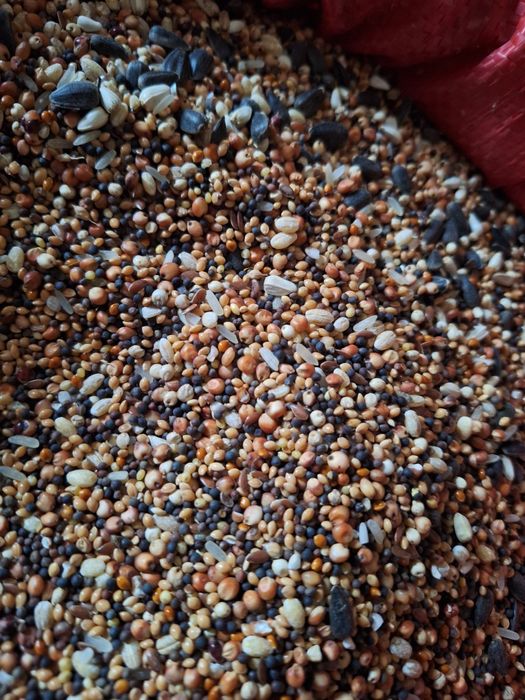 Mieszanka upierzeniowa