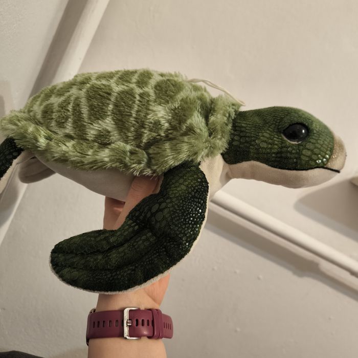 Miś żółw stan bardzo dobry