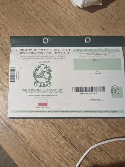 Klacz sztum sprzedam