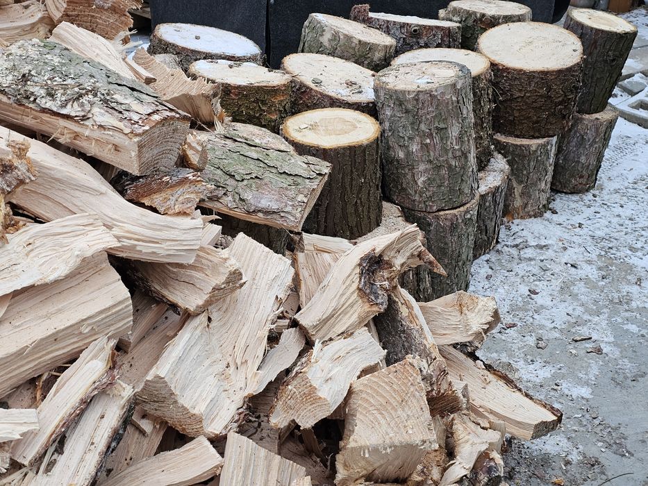 Sosna cięta rabana na opał