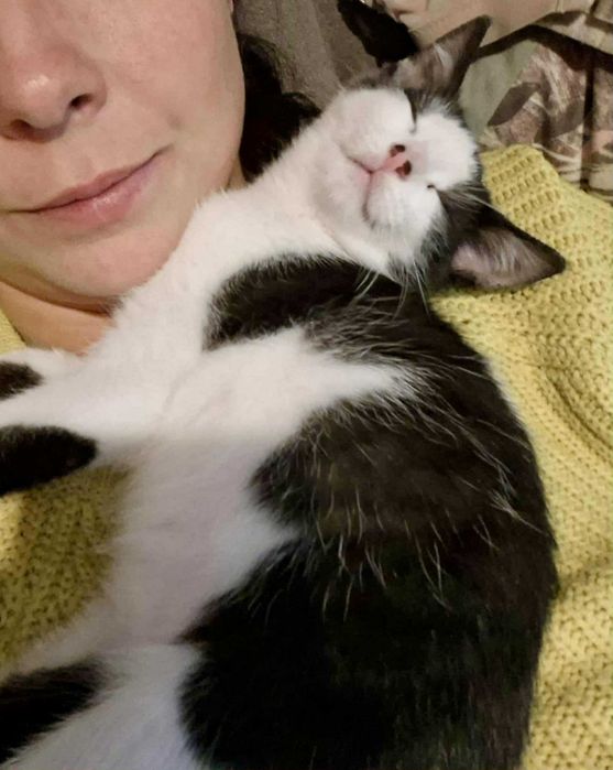 Młody, energiczny Pepe szuka kochającego domu