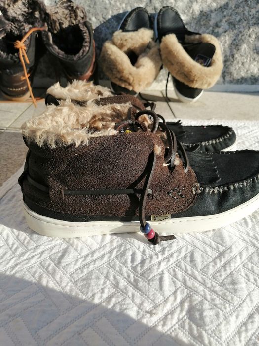 Vários modelos Dolfie