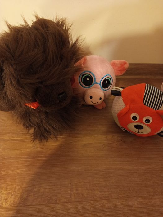 Oddam za darmo pluszaki