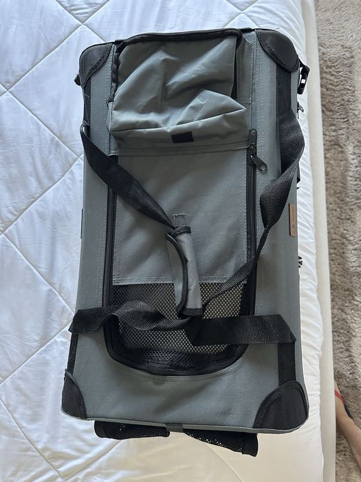 Transportadora cães
