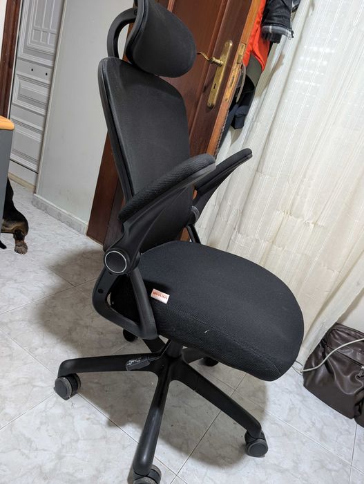 Cadeira Escritorio Ergonomica