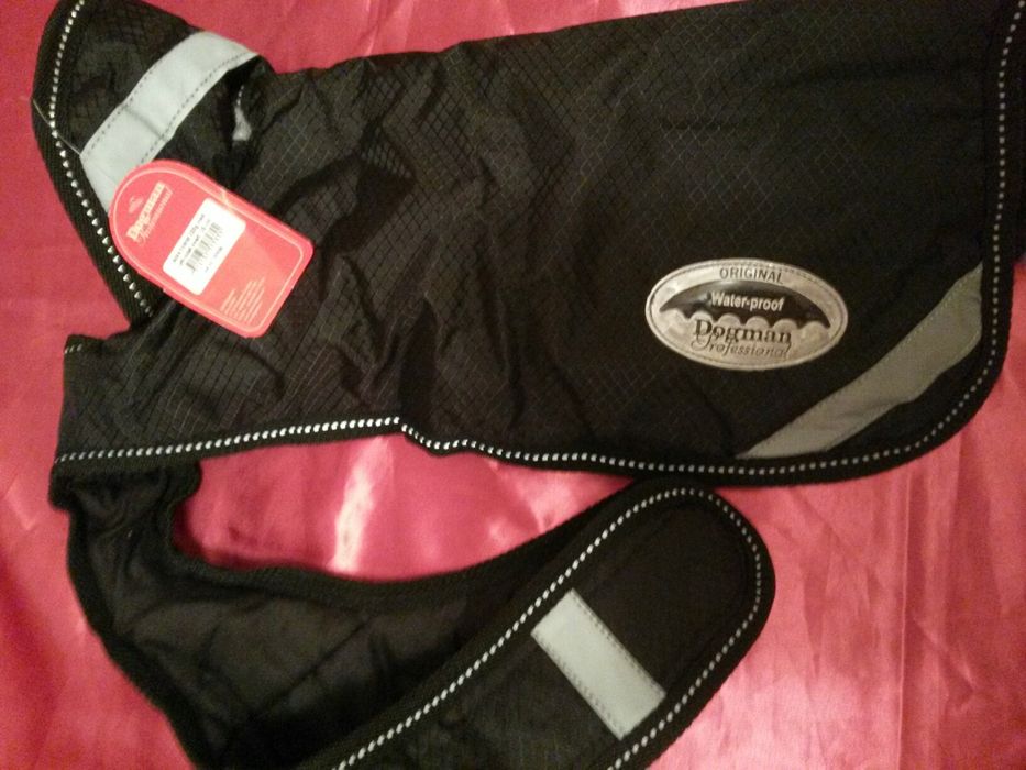 Одежда для собак