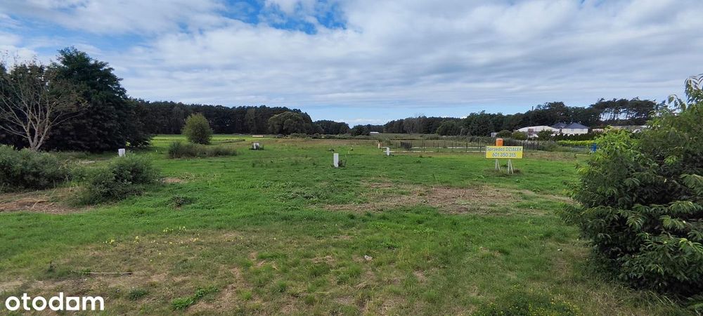 Działka budowlana 423 m² Wieleń jezioro struga OKAZJA - Widok 3
