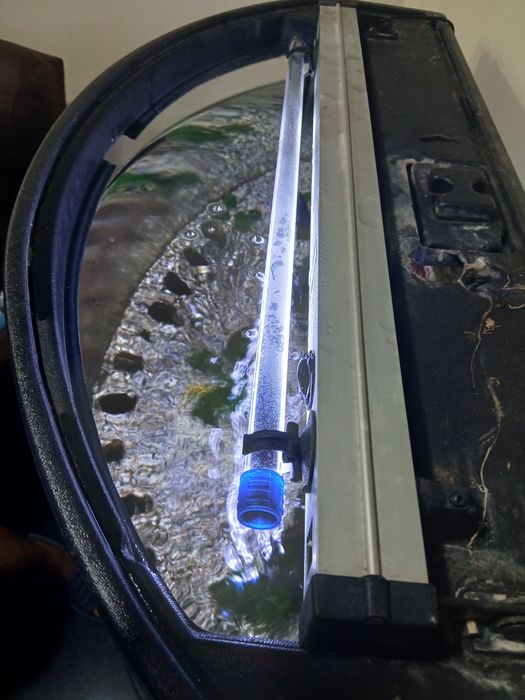 Aquário panorâmico + móvel + todos os acessórios