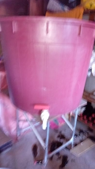Lagar  para pisar as uvas