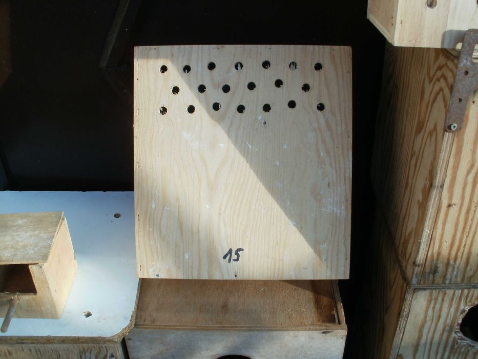 Budki lęgowe dla papug