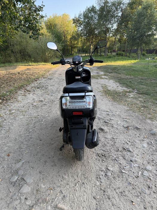 Honda Dunk Свіжий